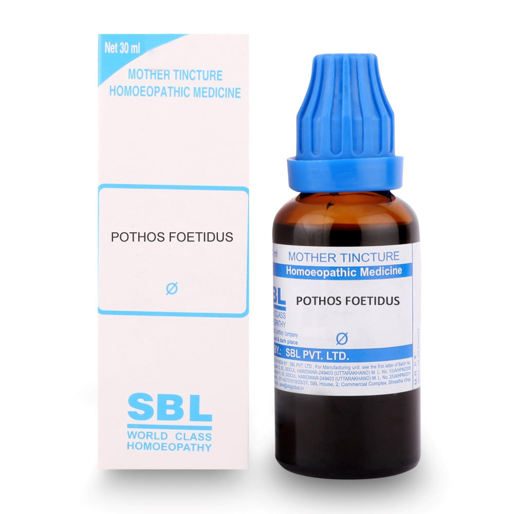 pothos q homeopathic medicine Pothos Foetidus Q