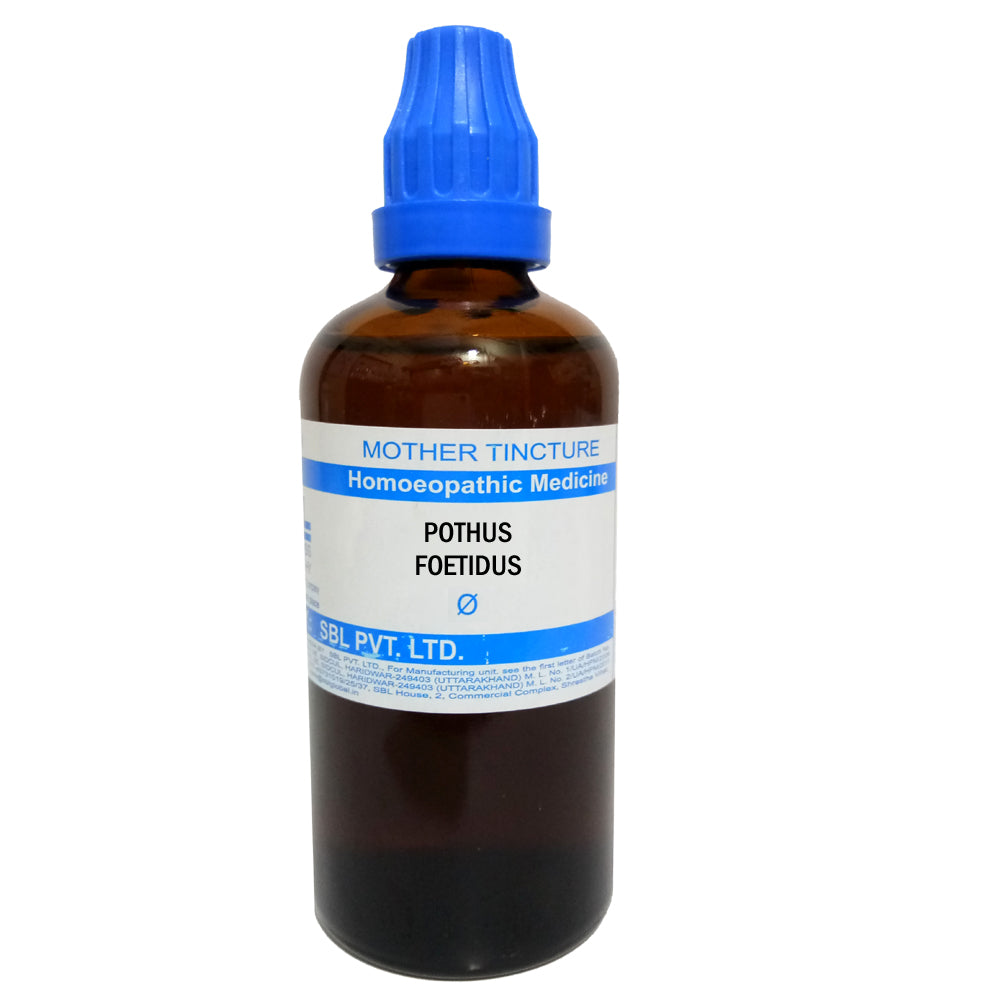 pothos homeopathic medicine uses Pothos Foetidus Q