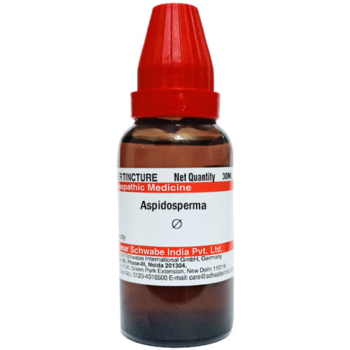 Aspidosperma Q