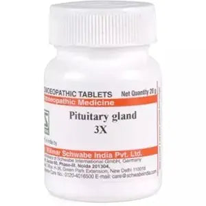Pituitary Gland 3X