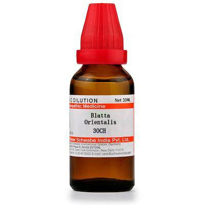 Blatta Orientalis 30CH