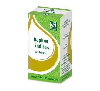 Daphne Indica 1X