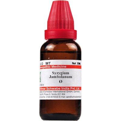 Syzygium Jambolanum Q