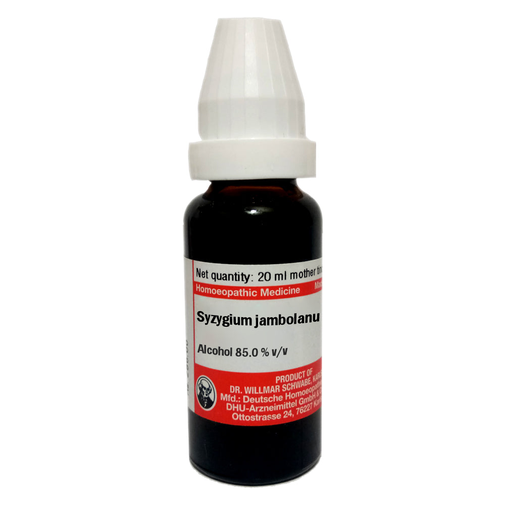 Syzygium jambolanum Ø