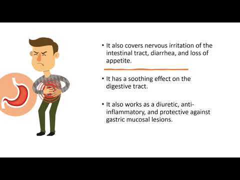 Dizester Digestive Tonic Sugar Free