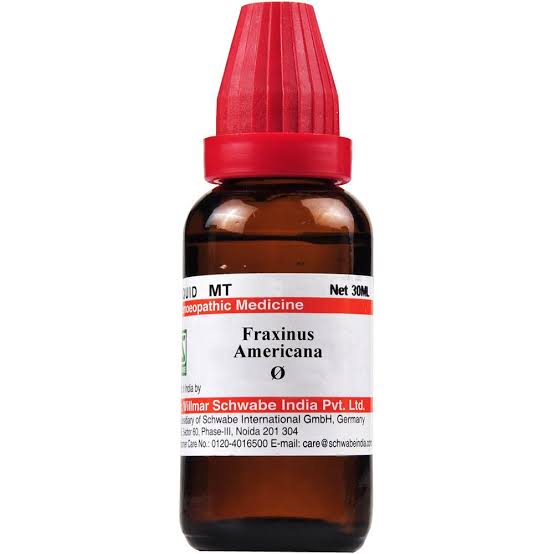 Fraxinus Americana Q