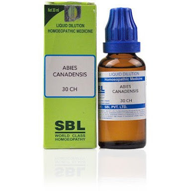 pothos 30 homeopathy uses Pothos Foetidus Q – JANAKALYAN HOMEOPATHY